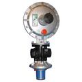 Регулятор давления газа  Dival 500