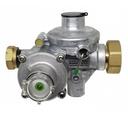 Линейный газовый регулятор RF 10 L Arctic